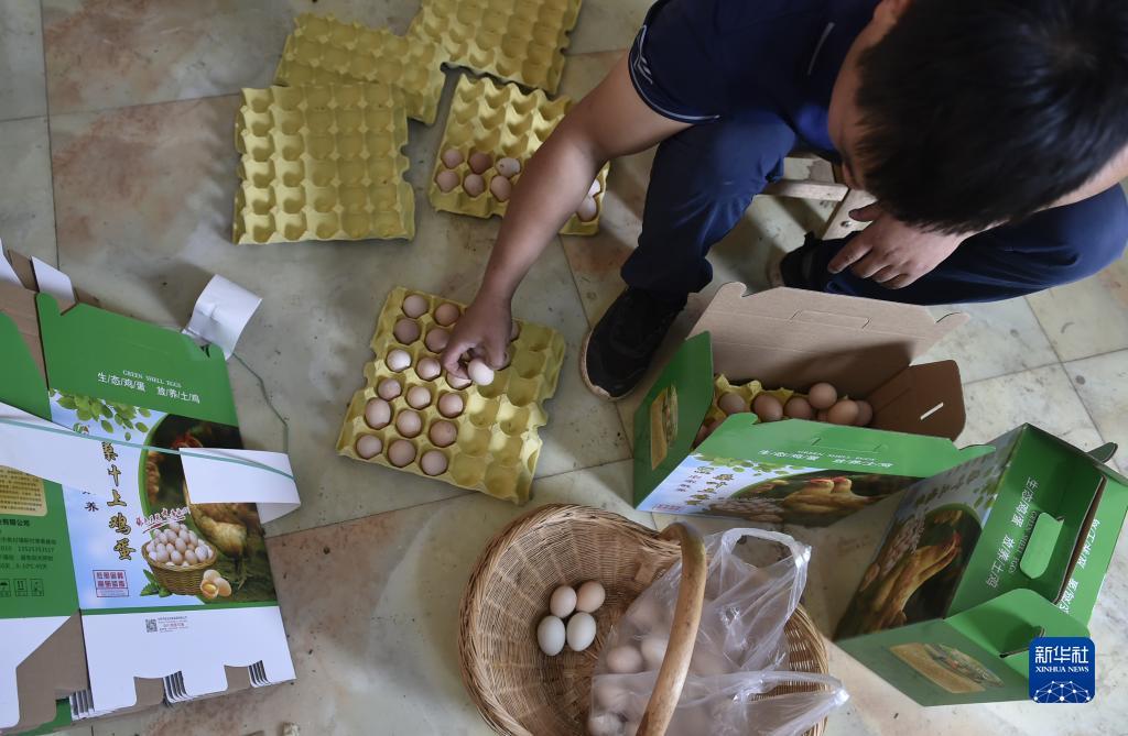 巴黎人十大棋牌